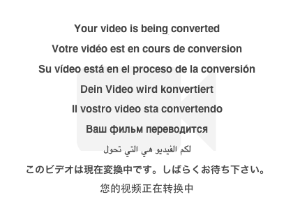Your video is being converted.