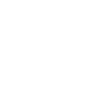 ftisland Logo